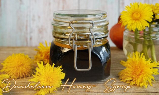 Dandelion honey