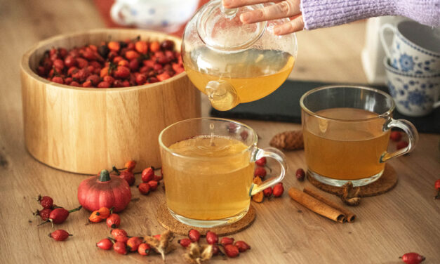 Rose Hip Orange Tea