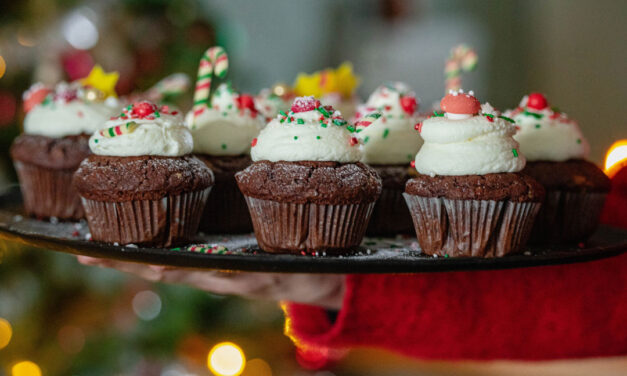 Chocolate Muffins