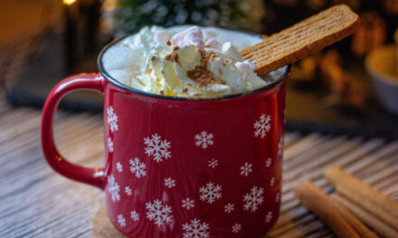 Gingerbread Hot Milk and Latte